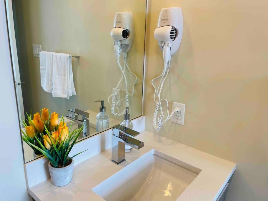 Modern 2 Bedroom Ocean Views Victoria Downtown Free Parking Buitenkant foto